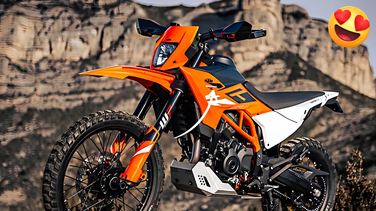 KTM 390 Enduro R